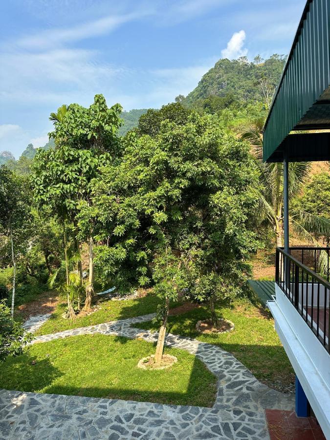 Felila Hostel & Tours Ha Giang Dış mekan fotoğraf